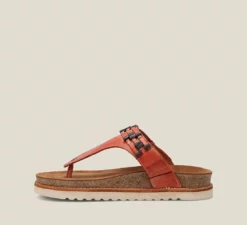 Taos Footwear USA Stupendous