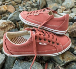 Taos Footwear USA New Arrivals Moc Star